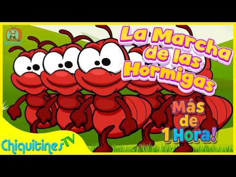 🐜 La marcha de las hormigas para Preescolar 🎶 60 min CANCIONES INFANTILES en español | ChiquitinesTV