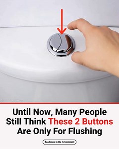 Until now, many people still think that these 2 buttons are only for flushing | Cake Pie