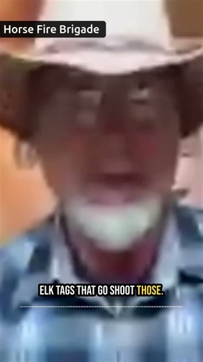 The Economics of Wild Horses: Exposing the BLM’s Grazing Program