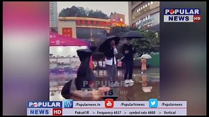 Why No One Talks About The 19 Best YouTube Videos Compilation Anymore. How Not Knowing The 19 Best YouTube Videos Compilation Makes You a Rookie. Why YouTube Videos Compilation is Killing You. Don't forget to share. | Popular News | Facebook