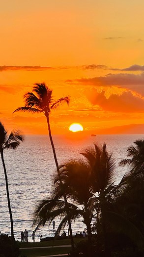 Spring Break 2025, Maui, Hawaii 🌺 🏄 ☀️ 🤿 🍹🥥🍍🌈🌸🪸🐠🐋🦀🐔 | Sara Weier