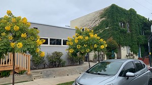 Home values in San Diego County are on the rise: Zillow