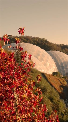 Feel the warmth of the rainforest, even on a crisp autumn day. Discover the Eden Project this season. 🍂 | Eden Project