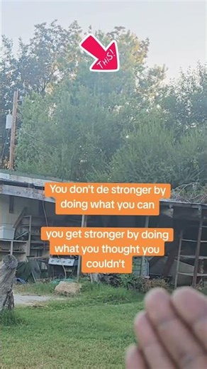 airbending forest #airbending #aerokinesis #trainingcourse