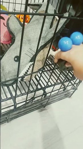 screaming goat prank