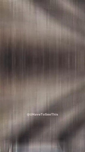 Check out these vehicles that can actually ride on rails! 🤯 | Blow Your Mind