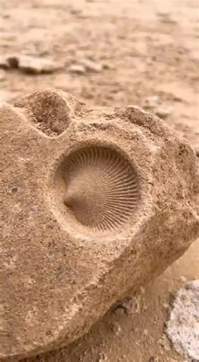 Exploring Abandoned Ships in Deserted Oceans