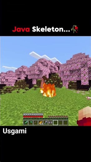 bedrock vs Java skeleton. 😲😠. #shorts #gaming #min #minecraft