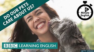 6.9K views · 340 reactions | We love and care for our pets, don't we? But do they care about us in return? Do animals know, or care, about human feelings? Neil and Sam talk about cats and dogs and teach you related vocabulary. #bbclearningenglish #learnenglish #pets #animals #cats #dogs #englishvocabulary #englishtips #englishonline #elt #pet | BBC Learning English | Facebook