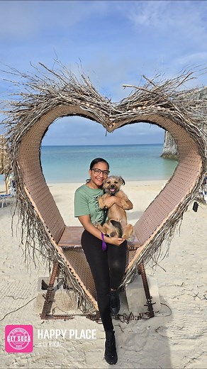 Happy place... at Snorkel Park Beach! I love living in the island of Bermuda we are surrounded by beautiful beaches! I love the ocean! Today my mommy took me for a quick visit to Snorkel Park and I had a great time! The people were so friendly! I encourage everyone to visit Snorkel Park Beach as there is so much to do and it's beautiful there! #Beach #ocean #sand #sea #island #bermuda #dog #dogmom #dogsofbermuda #bermudadogs #bermuda #explore #explorepage | chewythepintzudog