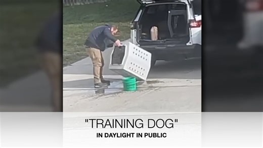DOG TRAINER PLEADS GUILTY. A viral video surfaced in January showing Matt Fiala, a dog trainer from Pleasant Hill, Missouri, who owns Advanced K-9 Training, in a controversial incident. One client claimed that their 5-year-old German Shepherd, Karma, died during a board and train session. They received a photo of Karma, followed by news the next day that Karma had unexpectedly passed away. Matt Fiala ultimately pled guilty, resulting in a $500 fine, 24 months of probation, a ban on owning animal