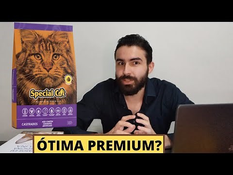 A RAÇÃO SPECIAL CAT É BOA?