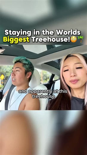 ZHC CLIPS on Instagram: "We Stayed in the Worlds Biggest Treehouse! 😱🌴"