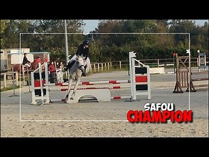 WE WON OUR CHALLENGE!!