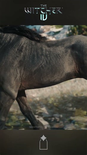 The Witcher 4 Unreal Engine 5 Flesh