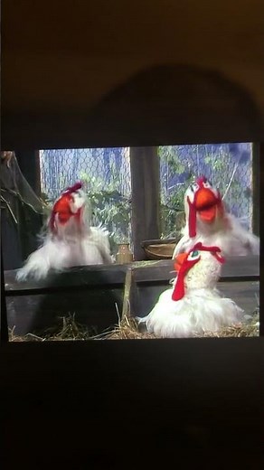 The Muppet Show Vault 411