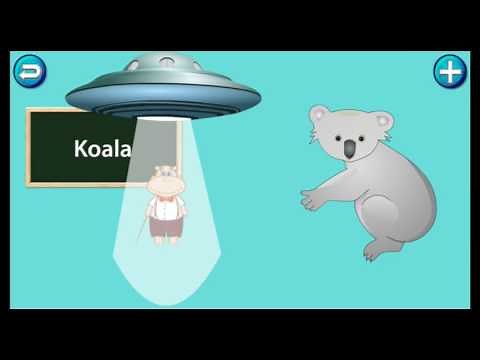 Amazing Shape Puzzle