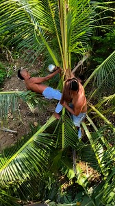 5.8M views · 120K reactions | Karate kungfu part 117鷺例 #highlightsシ゚ #funnyreelsvideo #viralreelsfacebook #everyonefollower #thankyouforyoursupport #thankyouforyoursupport #goodvibes | Imortal Blogs | Facebook