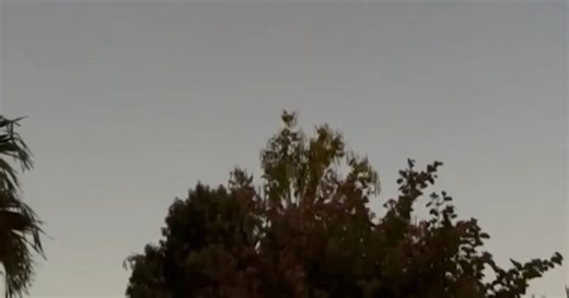 Nave Spacex explota en vuelo de prueba y se ve desde el Caribe - La Tercera