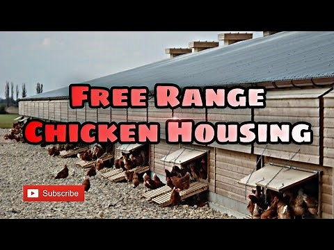 Free Range Chicken House Philippines