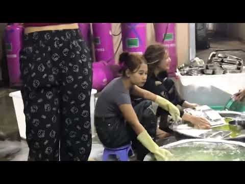 Beautiful girl washing dishes