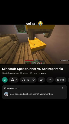 what #minecraft #schizo #challenge #clips #viral | minecraft