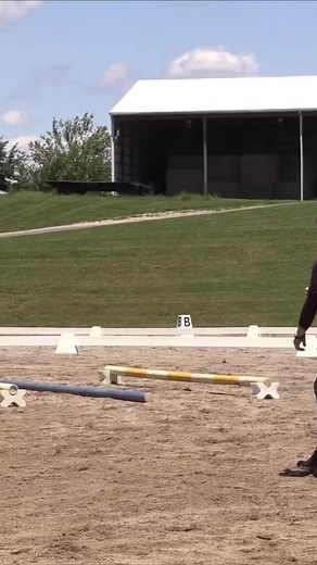 Dressage Today OnDemand on TikTok