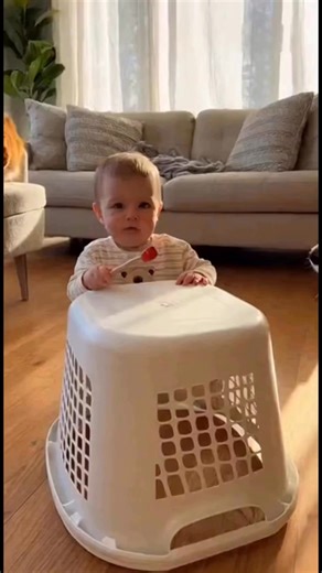 4.4K views · 51 reactions | The Baby’s VENDING MACHINE — Pets Try to ‘Buy’ Snacks From Her Part 2 | Endless Awws | Facebook