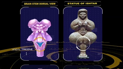 For millennia, Egypt’s temples have been shrouded in mystery—monuments to a civilization whose brilliance seems almost otherworldly. But what if their genius wasn’t magic, but method? What if these temples were not just places of worship, but meticulously designed schematics of the human nervous system—maps for unlocking altered states of consciousness? Across ancient cultures—Egyptian, Sumerian, Vedic, and beyond—the same hidden proportions appear again and again, mirroring the energetic center