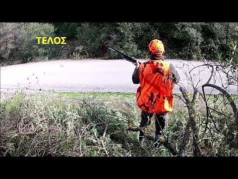 Κυνηγι αγριογουρουνου !!!! Γιωργος Ντουμας.