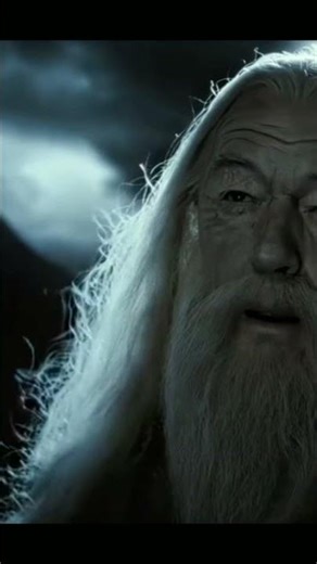 Dumbledore's Farewell