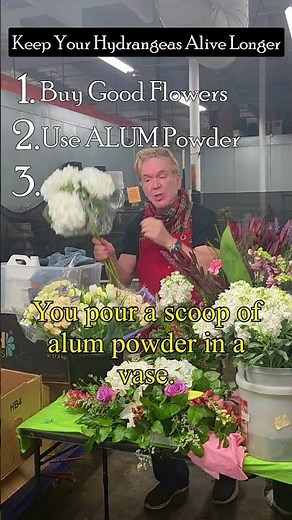 3 simple steps to keeping your hydrangeas alive longer. #flowers #flowerdesign #diyflowers