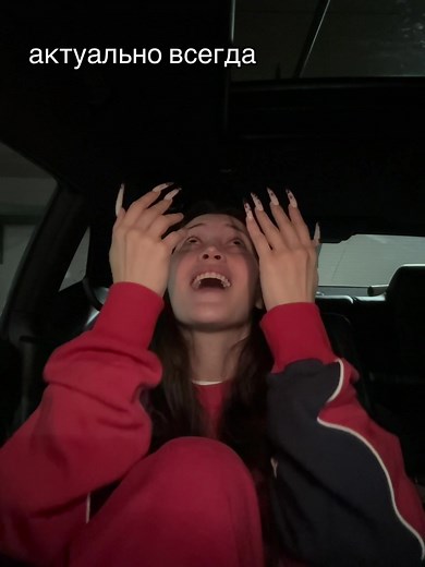 Sign Language Gestures Explained Inside a Car