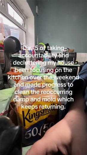 Accountability in Decluttering: Tackling Kitchen Damp and Mold