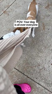 369K views · 13 reactions | Naughty pup? Not for long. Join Kinship for free training programmes, expert behaviour guidance, and more. | Kinship | Facebook