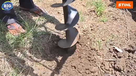9.2K views · 110 reactions | STIHL Earth Auger BT 230 transforms tough digging tasks into effortless work. From drilling holes for fence posts to planting trees, this powerhouse makes outdoor projects a breeze. For more details: Call or WhatsApp ‘Hi’ at +91 9028411222 #stihl #stihlindia #earthauger #auger #stihlpower | STIHL India | Facebook