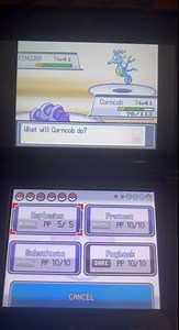 The best way to deal with Clair’s Kingdra