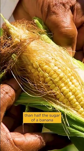 Is sweet corn good for you?