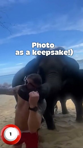 The Most Mischievous Elephants 😂🐘 Funniest Comical moments #funnyanimals #babyelephants