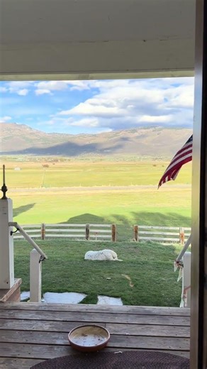 Spring Day on the Farm