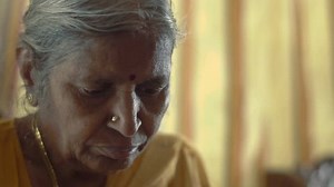 Old Retired Beautiful Woman Reading Book Stock Footage Video (100% Royalty-free) 8522950 | Shutterstock