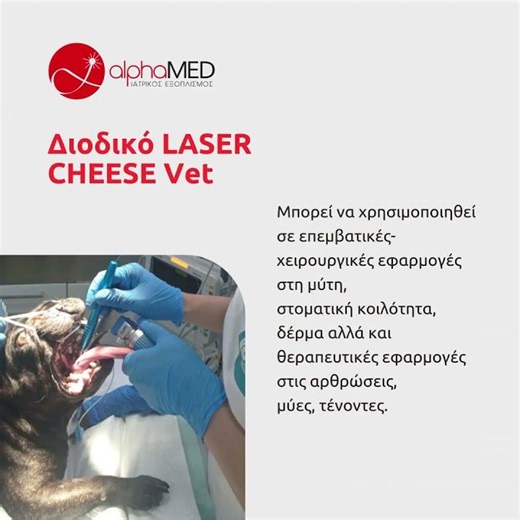 Πλατφόρμα LASER για Χειρουργικές Εφαρμογές Μικρώων Ζώων.
