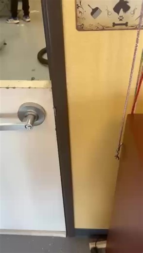 Busy pet grooming salon in Scottsdale, Arizona, looking for an experienced and reliable pet groomer. #locksmith #scottsdale #job #petgrooming