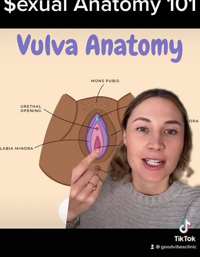 Not to be confused with the vagina, the vulva is the external genitals and includes the clitoris, labia minora and majora, urethral opening and vaginal opening. Our next post will cover vulva touching tips as well as the clitoris, which provides more pleasure than any other part of any body - go clitoris 🔥 #sextherap #selfcareroutine #pleasure #pleasureactivism #vulvaart #fyp #foryoupage