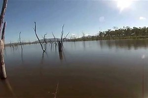 Here's a solid Barra caught casting a Firestorm in Peter Faust dam, as you can see at the end of the video it didn't make a dint in the BKK 4X hooks that comes standard on the Firestorm's. ⁣⁣ | Balista Lures