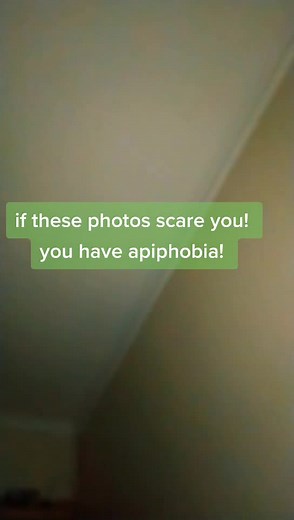 Phobias_x.x on TikTok