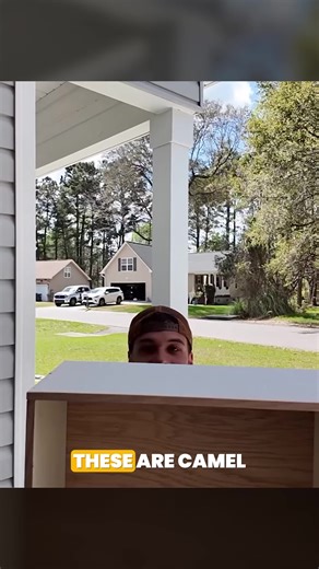 29 reactions | 14 Hour Shift. Easy Mode. Here are 7 reasons over...