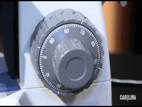 Compound Microscopes: Tips and Tricks