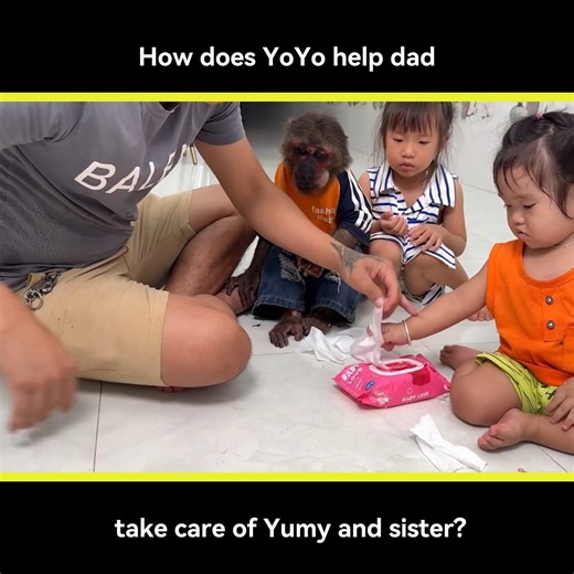 8.5K views · 447 reactions | Part 6 - How does YoYo help dad take care of Yumy and sister? | Monkey YoYo Jr | Facebook