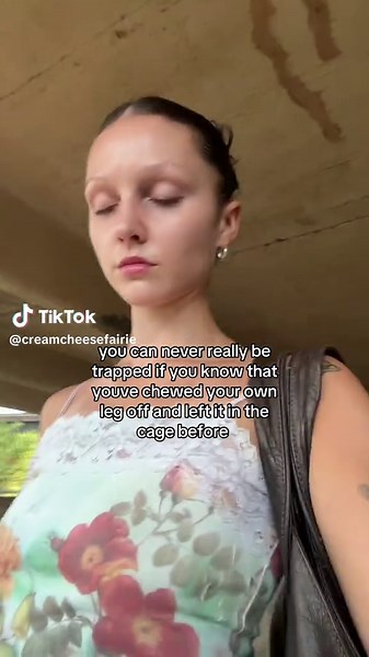 Perseverance Lessons from Woodland Creatures